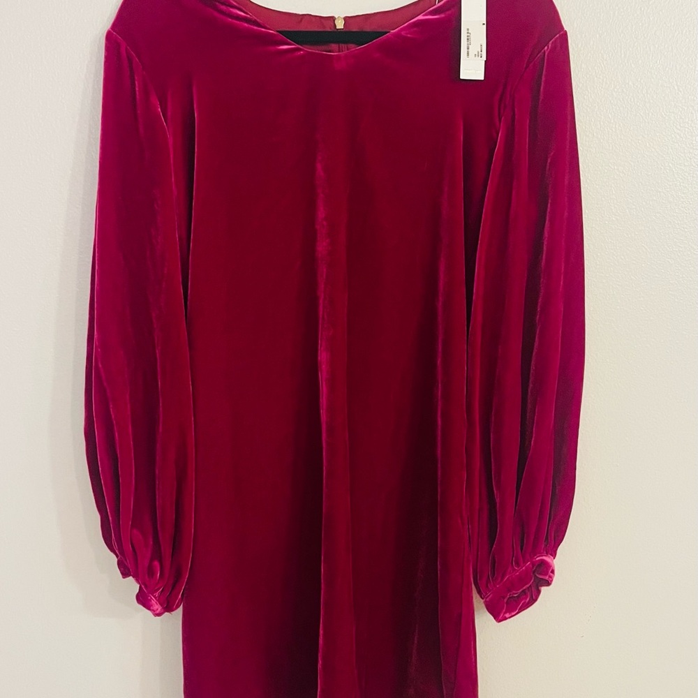 Tina Turk Burgundy Velvet Dress. Relaxed Fit, Balloon Sleeves, Fall-Ready - M
